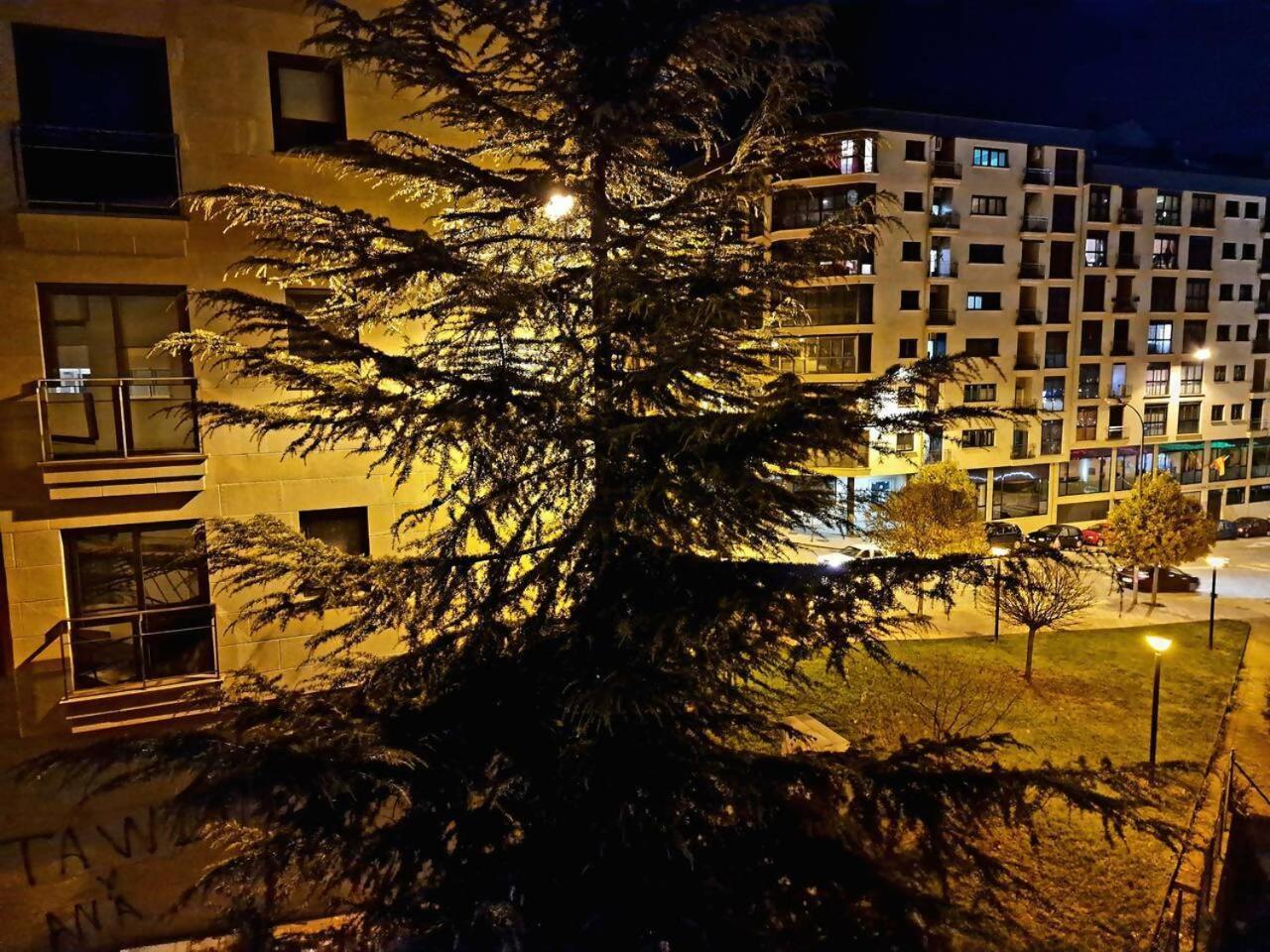 Apartamento Puente Romano Ourense Exterior foto